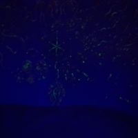  at FireJuice in Amsterdam