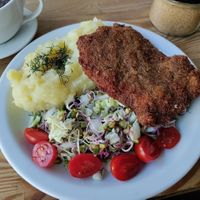 Vegan schnitzel, mashed potatoes, salad. at Zemsta in Poznan