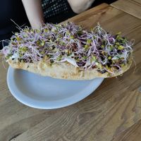 Sandwich and sprouted plants. at Zemsta in Poznan