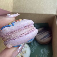   at Confectionery! in New York City