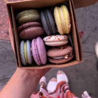   at Confectionery! in New York City