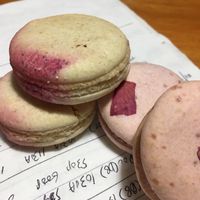 Delicious vegan macarons at Confectionery! in New York City