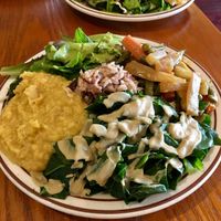 Moderate plate at Shangri-La Vegan - Telegraph in Oakland