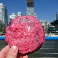 Cranberry tofu cookie at Laurelle's fine foods   at Granville Island Public Market in Vancouver