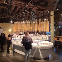  at Tibits - Oerlikon in Zurich