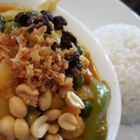 Vegan (tofu, beans, veg) massaman curry at The Junction in Redhill