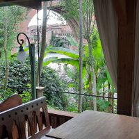 Terrace at Le Robinson in Albi