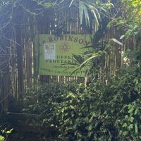   at Le Robinson in Albi