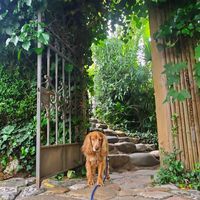  at Le Robinson in Albi