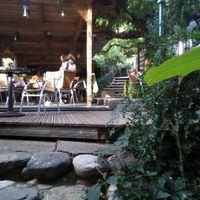 Garden at Le Robinson in Albi