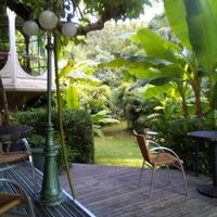 Garden at Le Robinson in Albi