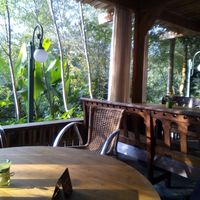 Garden at Le Robinson in Albi