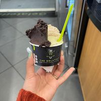 I got pistachio, macadamia, and dark chocolate at The Gelatist in Rome