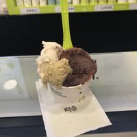 Vegan Gelato  at The Gelatist in Rome