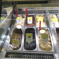 Some of the vegan flavors  at The Gelatist in Rome
