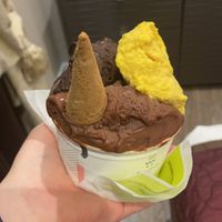 4 flavours! 2x Chocolate & Rice, 1x Dark Chocolate and 1x Mango.  at The Gelatist in Rome
