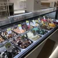 Vegan clearly labeled (all sorbets plus others)  at The Gelatist in Rome