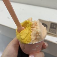 mango and melon, medium cup €4.50  at The Gelatist in Rome