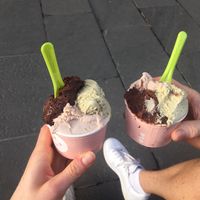 A lot of vegan options! Especially the ones with rice milk are amazing! I really recommend this place 😊 at The Gelatist in Rome