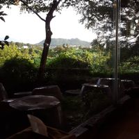 The view at Dasoni in Jeju