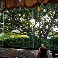 View to outside at Dasoni in Jeju