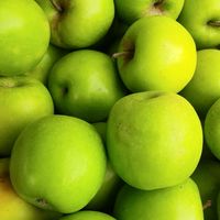 Queen Celeste Apple at Farmer's Market - downtown Berkeley in Berkeley
