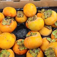 Persimmons at Farmer's Market - downtown Berkeley in Berkeley