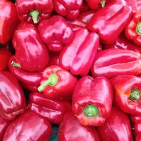 Red Bell Peppers at Farmer's Market - downtown Berkeley in Berkeley
