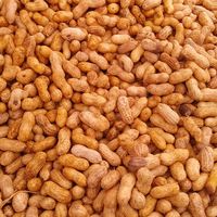 Peanuts at Farmer's Market - downtown Berkeley in Berkeley