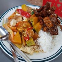 Red curry + crispy soy slice at Blossoming Lotus in Haymarket