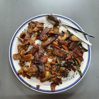 Tempeh, eggplant, soy strips at Blossoming Lotus in Haymarket