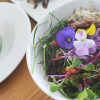  at Vegenarang in Busan