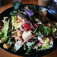 Caesar salad at Meatless District - Da Costabuurt in Amsterdam