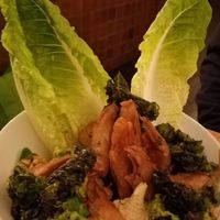 Romaine	lettuce,	corn	salad,	kale chips,	“chicken”
pesto	MDnaise	& Parmesan	“cheese” at Meatless District - Da Costabuurt in Amsterdam