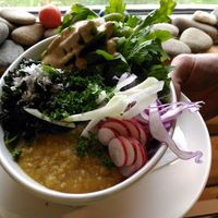 Buddha bowl at Alchemy Cafe in Dawson City