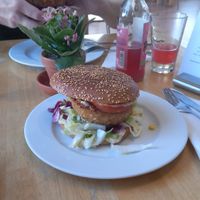 Grünschnabel at Grunschnabel in Bautzen