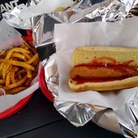 Vegan dog and fries with seasoning at Franks-A-Lot in Portland