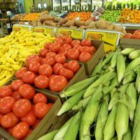 Another pretty photo of the produce at Bailey's Produce & Nursery in Pensacola