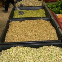 Fresh peas for sale at Bailey's Produce & Nursery in Pensacola