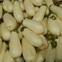 White Eggplant  at Bailey's Produce & Nursery in Pensacola