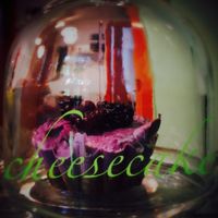 Cheesecake at Bistraw Zdravo Zivo in Skopje