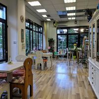 Interior at Bistraw Zdravo Zivo in Skopje