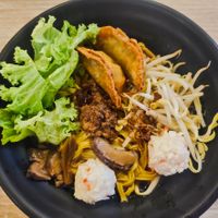 Mee pok with gyoza at Greendot 绿一点 - Nex in Northeast Singapore