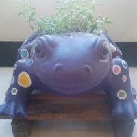 el sapo vegano at Aba Opción Vegetariana in Bogota
