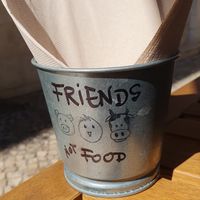  at Green Beans in Lisbon