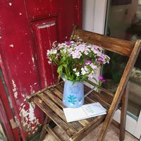  at Green Beans in Lisbon