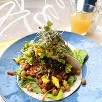 Chipotle oyster shroom breakfast tacos  at Velocity Cafe in Inverness