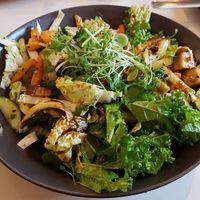 Fried vegetables and tofu (wok) at Terapija in Riga