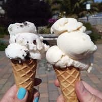 Frys Peppermint Cream & Banana Vegan icecreams at Crave Ice Cream in Ventnor