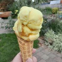 Vegan Salted Caramel at Crave Ice Cream in Ventnor